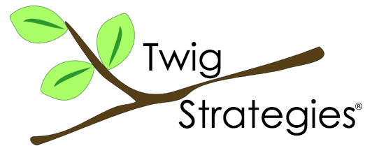 Twig Strategies